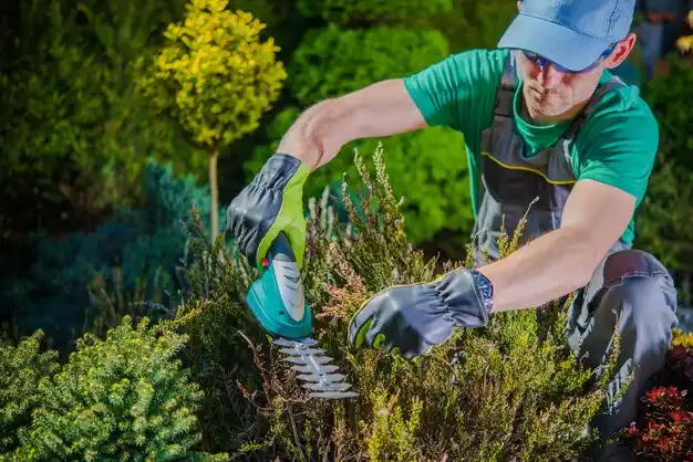 landscaping services Gambier